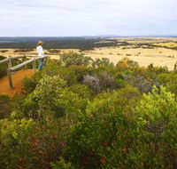 Archer Drive Scenic Drive and Lookout - Gold Coast Attractions
