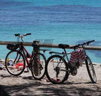 Parker Point Marine Snorkel Trail - Gold Coast Attractions