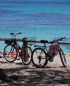 Parker Point Marine Snorkel Trail - Gold Coast Attractions 0