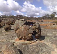 Gathercole Nature Reserve - Gold Coast Attractions