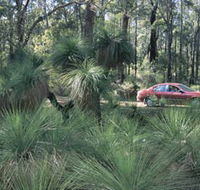 Bridgetown Jarrah Park - Gold Coast Attractions