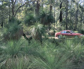 Bridgetown Jarrah Park - Gold Coast Attractions 0