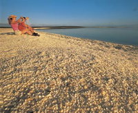 Shell Beach