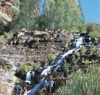 Fortescue Falls - Gold Coast Attractions
