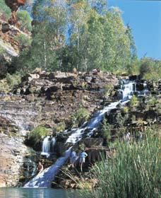 Fortescue Falls - Gold Coast Attractions 0