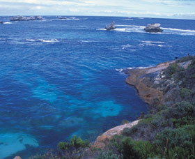 Cosy Corner - Gold Coast Attractions 0