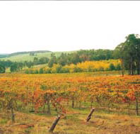 Byramgou Park - Gold Coast Attractions