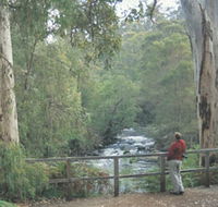 Cascades - Gold Coast Attractions