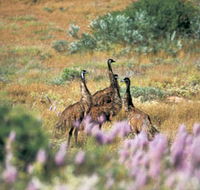 Jurabi Coastal Reserve - Gold Coast Attractions