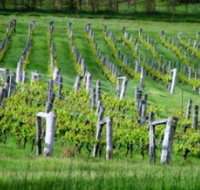 Sienna Estate Winery - Gold Coast Attractions