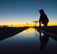 Myalls Bore - Gold Coast Attractions