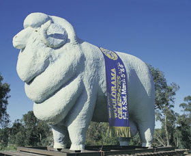 Giant Ram Tourist Park - Gold Coast Attractions 0