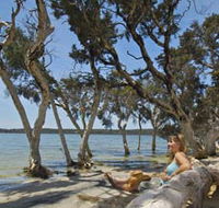 Stokes National Park - Gold Coast Attractions
