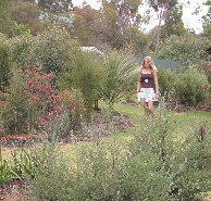 The Mythic Mazes - Gold Coast Attractions