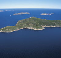 Woody Island Nature Reserve - Gold Coast Attractions