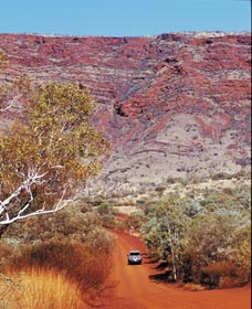 Mount Nameless - Gold Coast Attractions 0