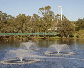 Suspension Bridge - Gold Coast Attractions 0