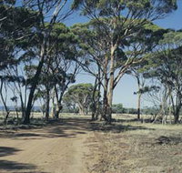Lake Dumbleyung - Gold Coast Attractions