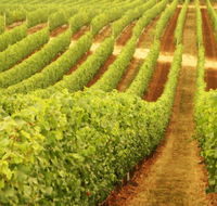 Xanadu Wines - Gold Coast Attractions