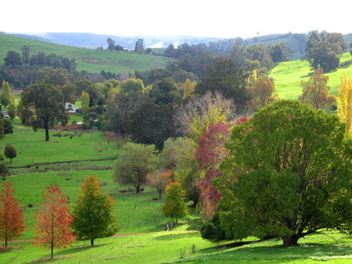 Grimwade WA Gold Coast Attractions