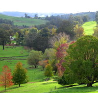 Golden Valley Tree Park - Gold Coast Attractions