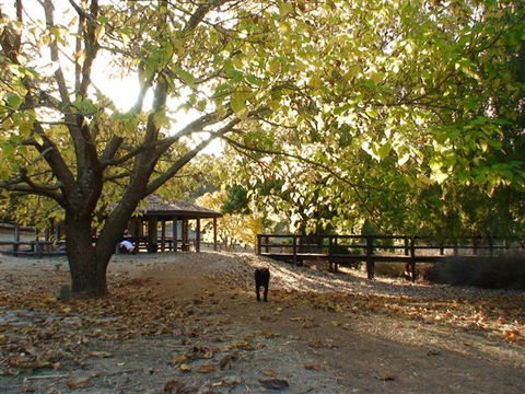 Golden Valley Tree Park - Gold Coast Attractions 1
