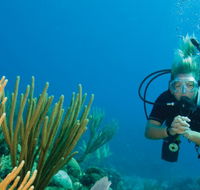 Coastal Water Dive - Gold Coast Attractions