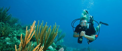 Coastal Water Dive - Gold Coast Attractions 0