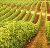 Cullen Wines - Gold Coast Attractions