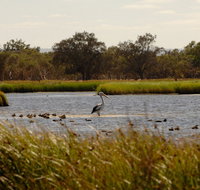 Anytime Adventures in Mandurah  the Peel Region - Gold Coast Attractions