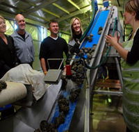 Eyre Peninsula's Seafood Trail - Gold Coast Attractions