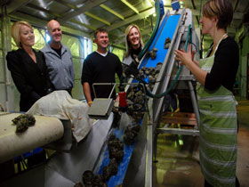 Eyre Peninsula's Seafood Trail - Gold Coast Attractions 0