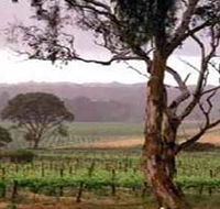Yangarra Estate Vineyard - Gold Coast Attractions