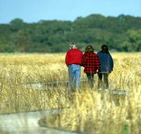 Onkaparinga River Recreation Park - Gold Coast Attractions