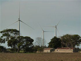  Gold Coast Attractions