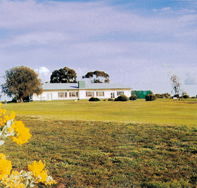 Lucindale Country Club - Gold Coast Attractions