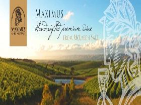 Maximus Wines Australia - Gold Coast Attractions 0