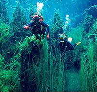 Ewens Ponds Conservation Park - Gold Coast Attractions