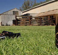 Wilkadene Woolshed Brewery - Gold Coast Attractions