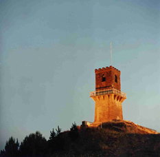 Centenary Tower - Gold Coast Attractions 0