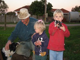 Orrie Cowie Merino And Poll Merino Stud - Gold Coast Attractions 0