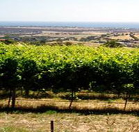 Braydun Hill Vineyard - Gold Coast Attractions