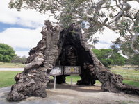 Book Springton Accommodation Vacations Gold Coast Attractions Gold Coast Attractions