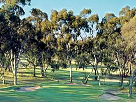 Tanunda Pines Golf Club - Gold Coast Attractions 0