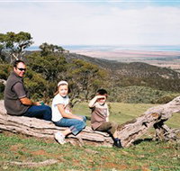 Bridle Track - Gold Coast Attractions