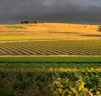 Kellermeister Wines - Gold Coast Attractions