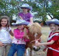 Amberainbow Pony Rides - Gold Coast Attractions
