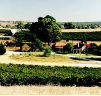 Irvine Wines - Gold Coast Attractions