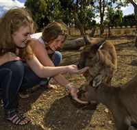 Kangaroo Island Wildlife Park - Gold Coast Attractions