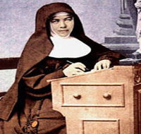 Mary MacKillop Penola Centre - Gold Coast Attractions